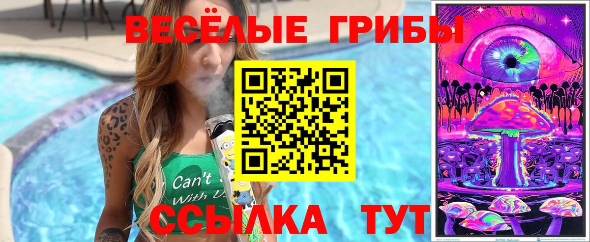 купить закладку  Псилоцибиновые грибы Psilocybine cubensis  Вход с VPN  Можга 