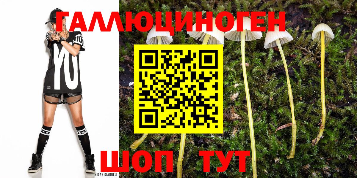 Псилоцибиновые грибы мухоморы Можга
